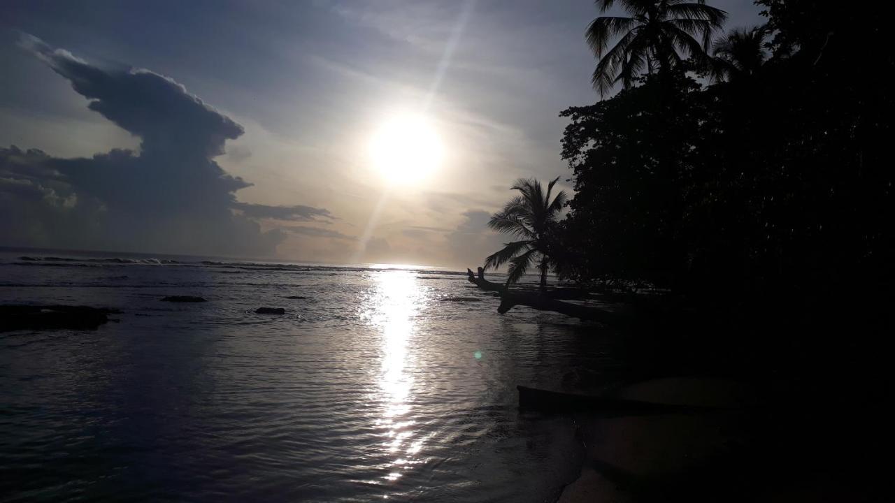 Hotel Casa Vito Beachfront Puerto Viejo de Talamanca 외부 사진