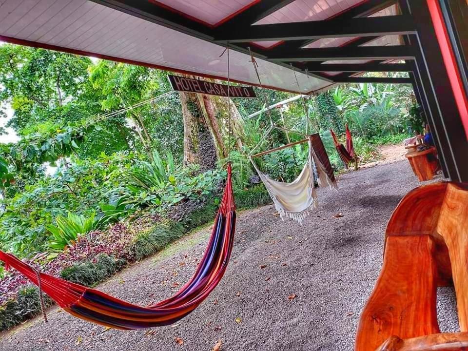 Hotel Casa Vito Beachfront Puerto Viejo de Talamanca 외부 사진